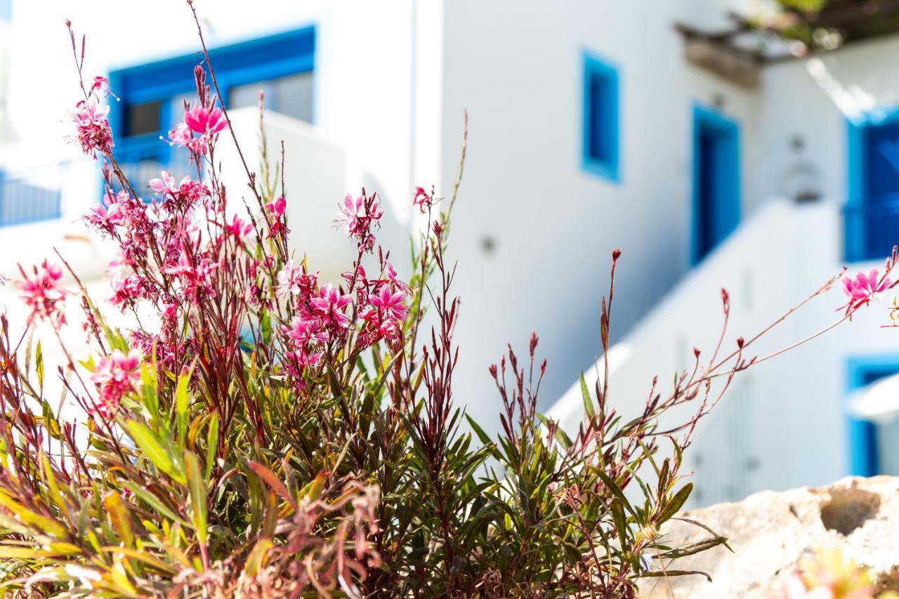 Bella Vista Stegna Aparthotel Archangelos  Bagian luar foto